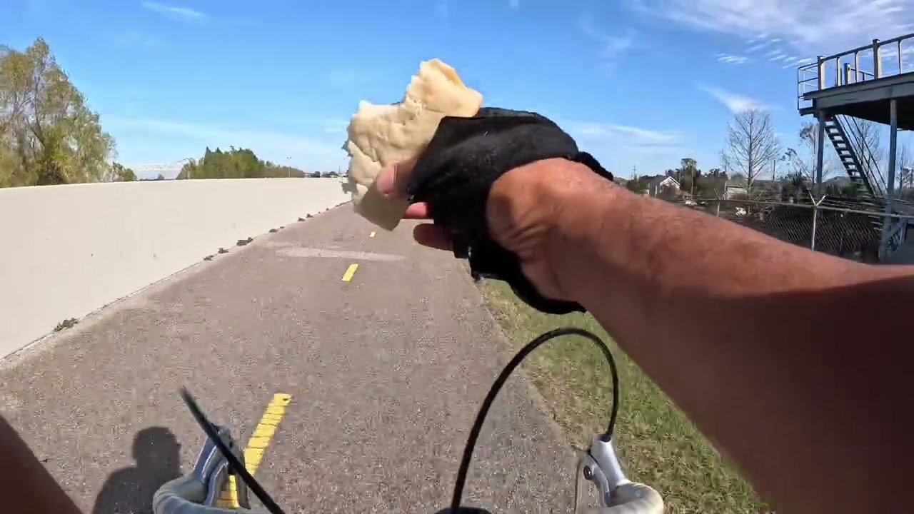 Welcome to the Daily 20!