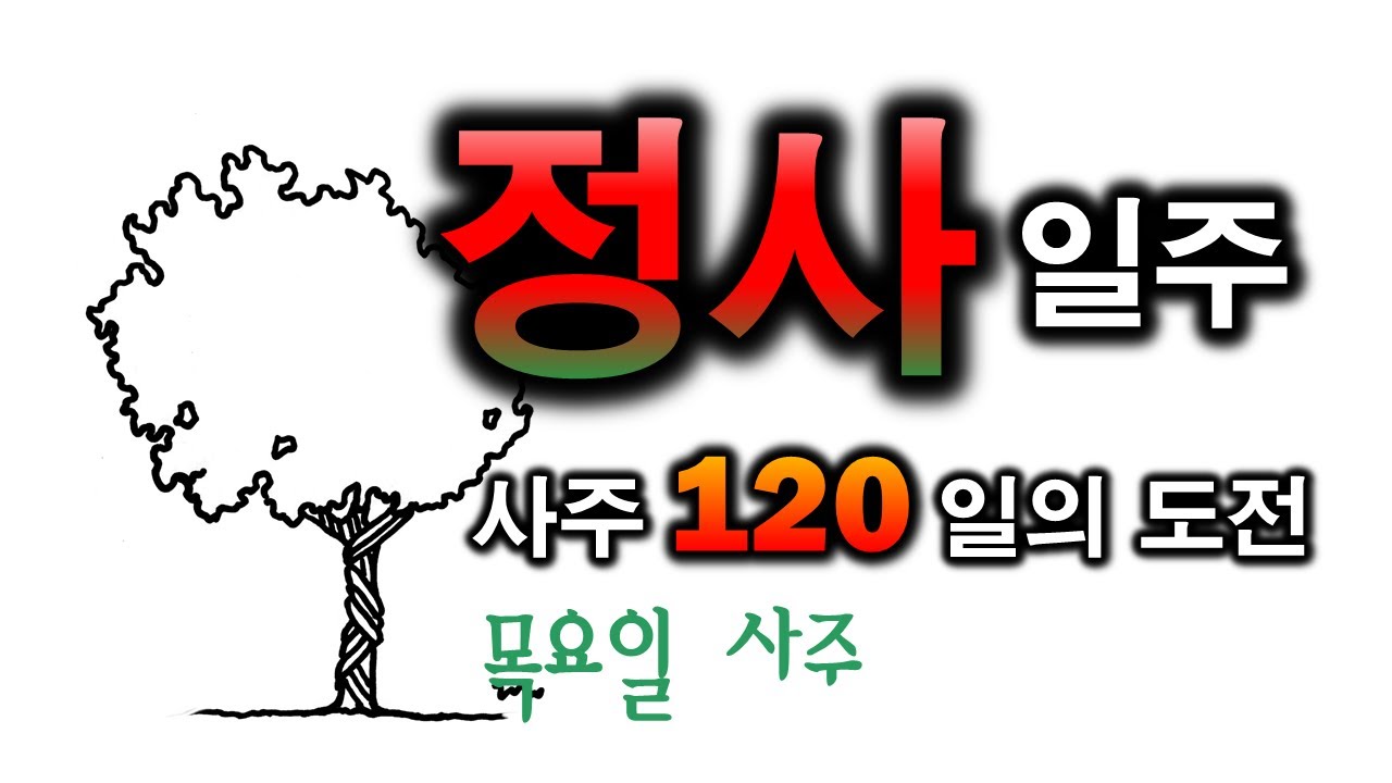 정사일주 한방정리(80일차)