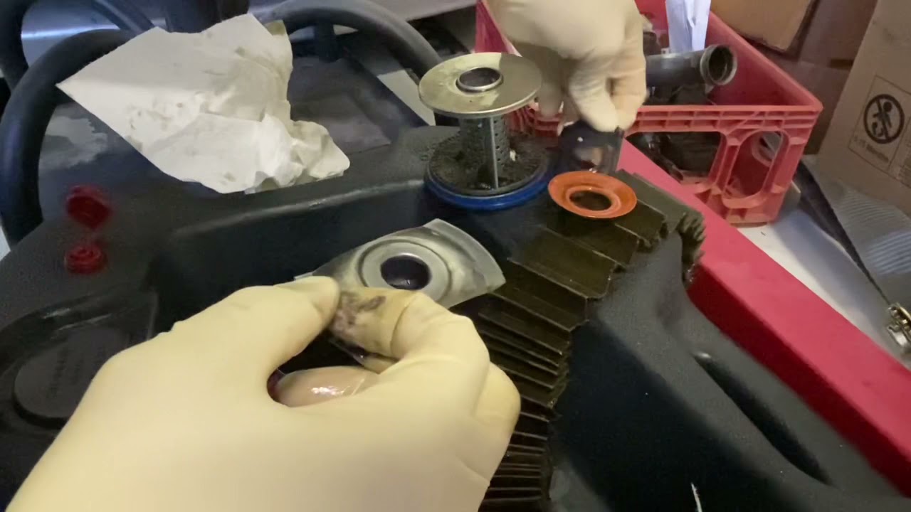 New and Old S2000 Oil Filter Detailed Comparison