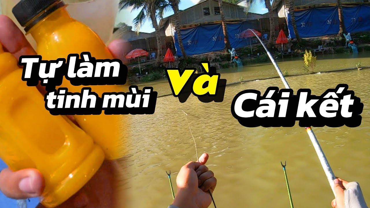AT Fishing | Tập 35 - Tự làm tinh mùi từ trái thơm (dứa) và cái kết giật cá téc nách.
