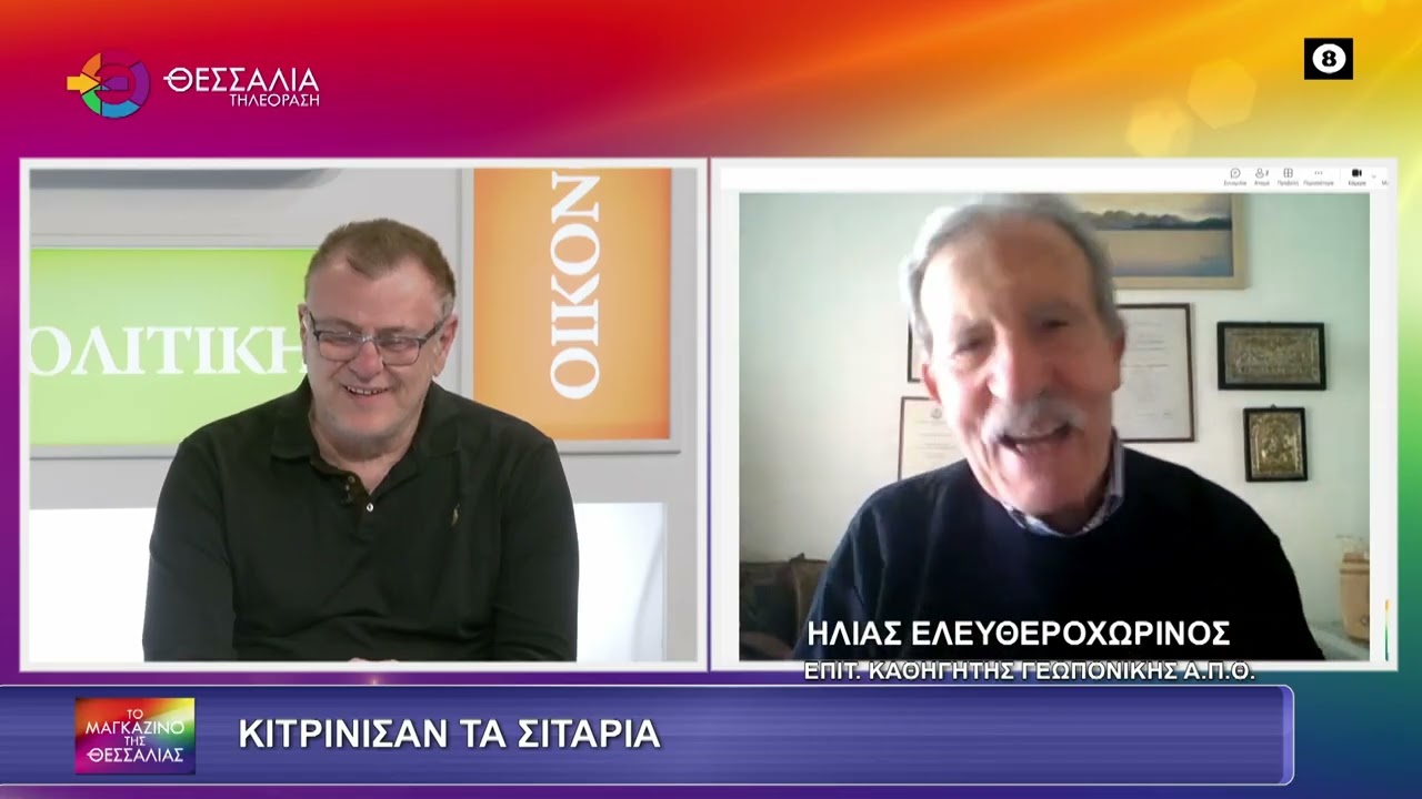 ΚΙΤΡΙΝΙΣΑΝ ΤΑ ΣΙΤΑΡΙΑ_ΗΛΙΑΣ ΕΛΕΥΘΕΡΟΧΩΡΙΝΟΣ 25 02 2025
