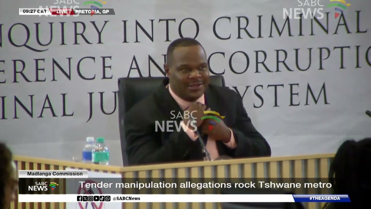 Madlanga Commission | Sgt Fannie Nkosi back in the hot seat