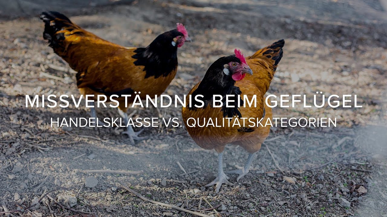 Missverst&auml;ndnis beim Gefl&uuml;gelfleisch: Handelsklasse vs. Qualit&auml;tskategorien
