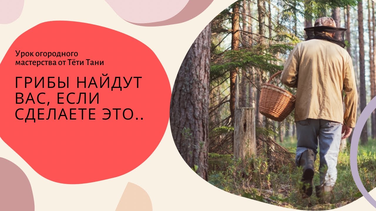 591. Ходите тихо, смотрите зорко и будет вам грибное счастье!