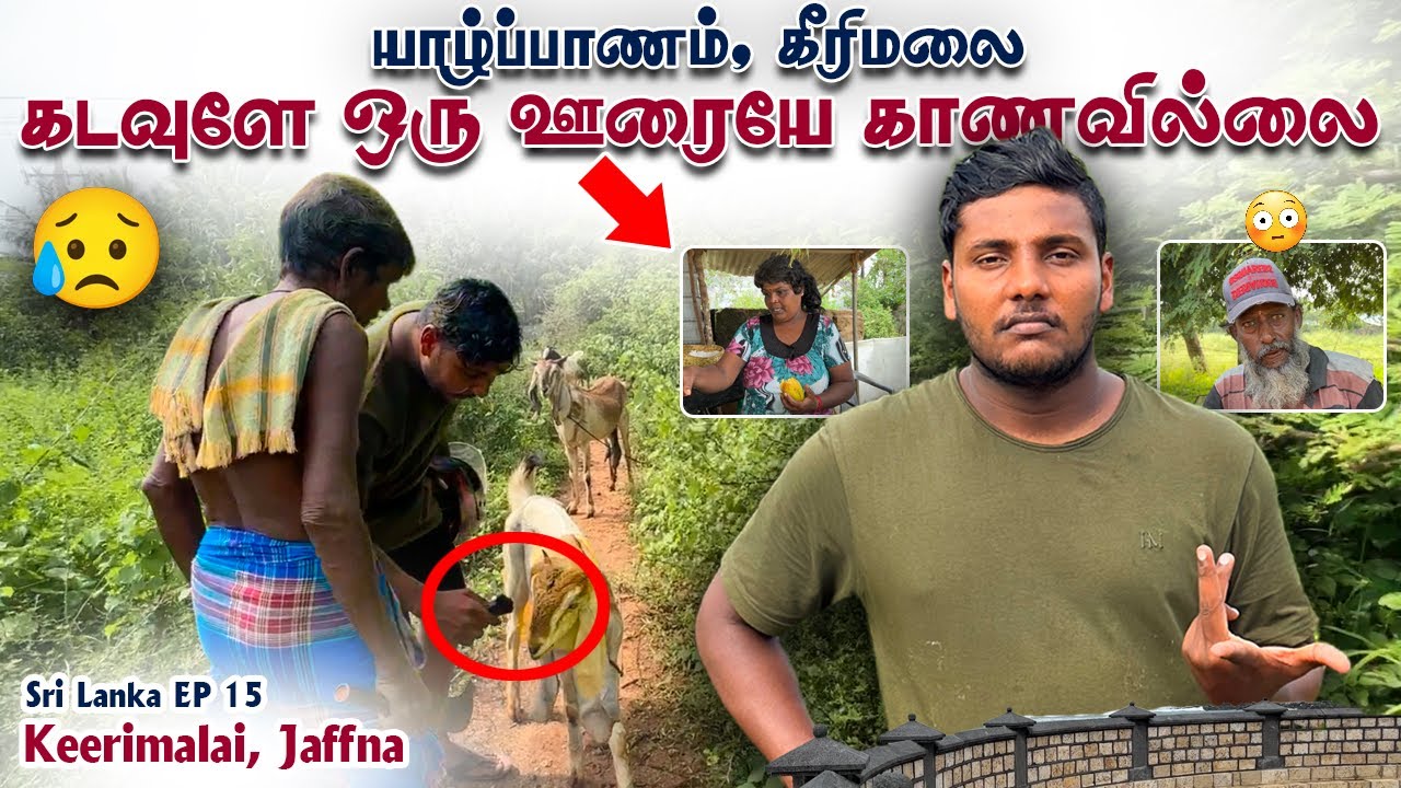கடவுளே ஒரு ஊரையே காணவில்லை😭 Keerimalai | Pavaneesan