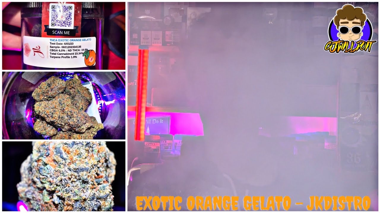 EXOTIC ORANGE GELATO - JKDISTRO