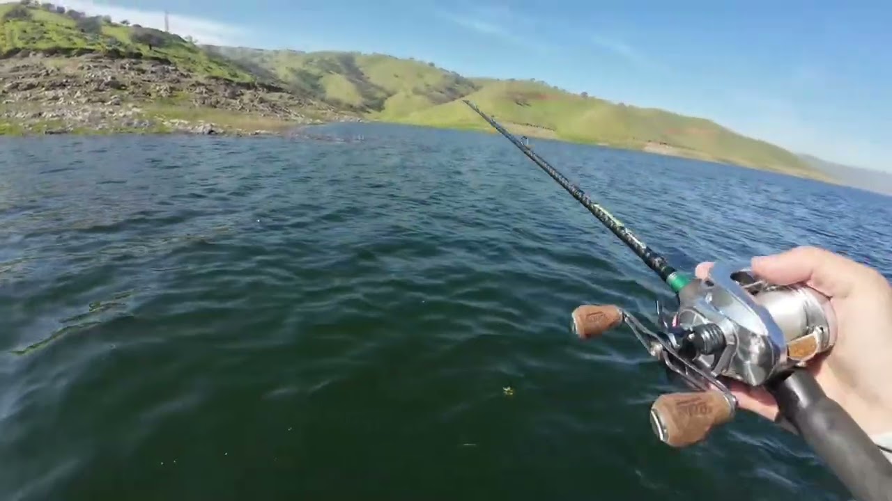 San Luis Resevoir bite is on FIRE with Zoom MAGNUM flukes!!🔥🔥 02-07-26