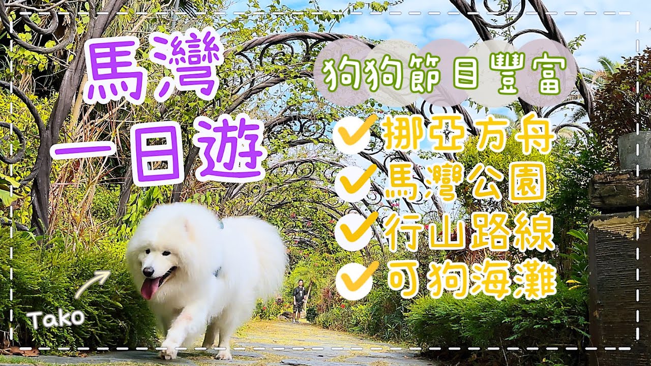 【狗狗好去處】帶狗狗去「馬灣」必睇攻略，超多打卡位，馬灣公園、青馬大橋、挪亞方舟｜西摩Tako｜@big_dog_channel