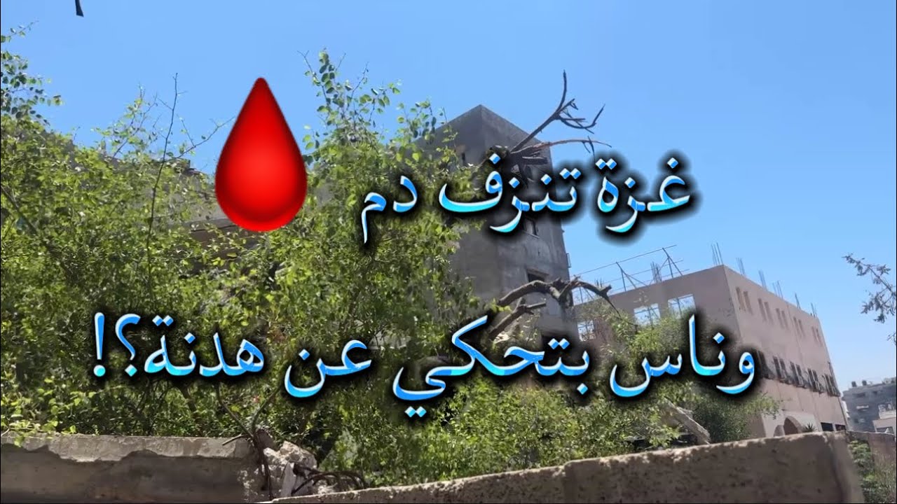 شهد.اء كل يوم … والهدنة لسه وعود!