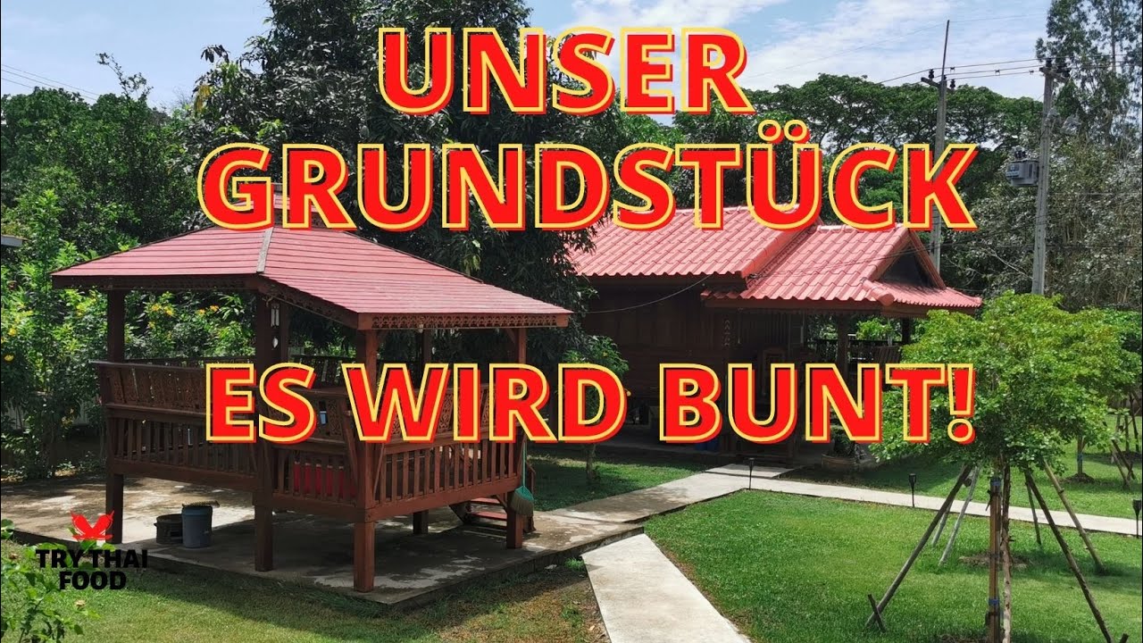 Unser Grundstück in Thailand - Es wird bunt - Leben in Thailand