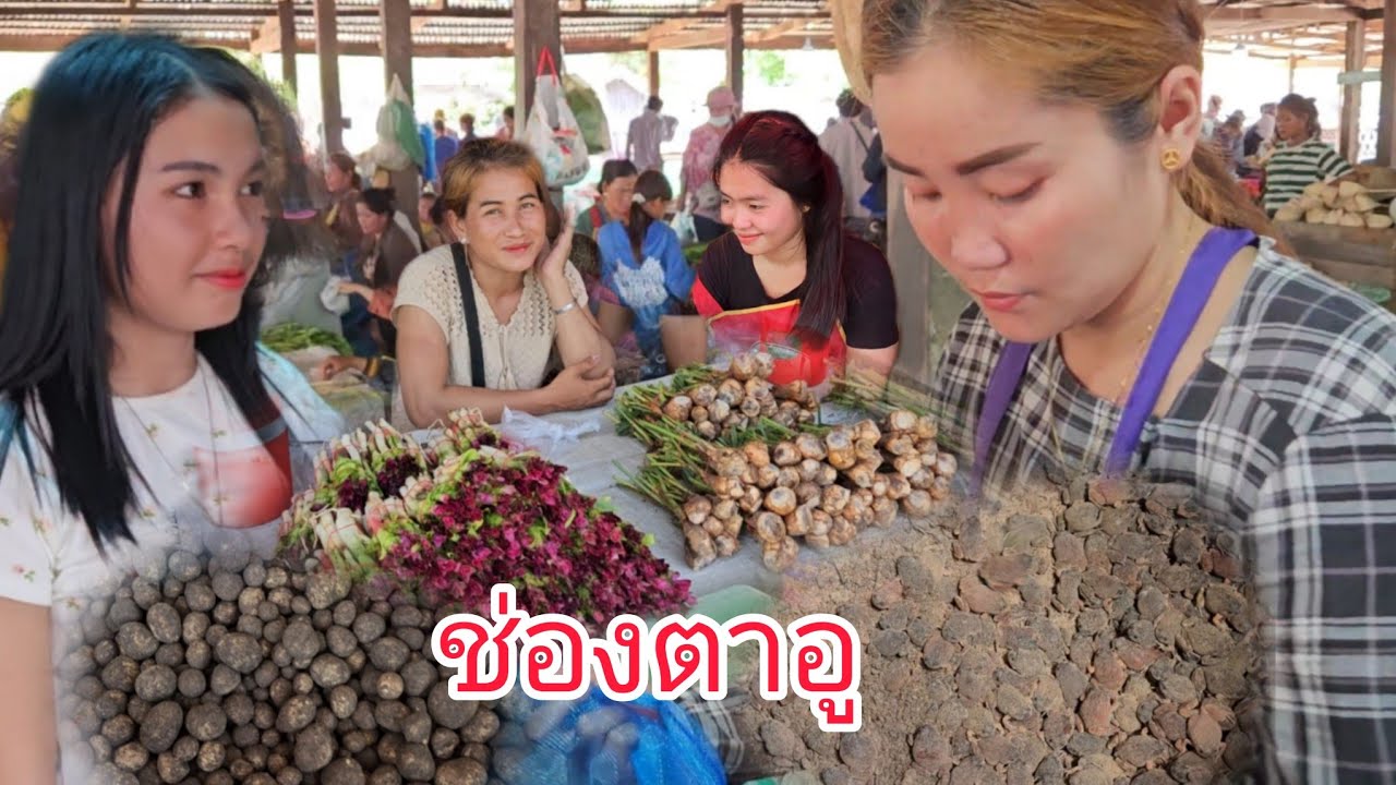 #สาวลาว #ด่านพรมแดน ไทย-ลาว  #ช่องตาอู #ตลาดนัด วันจันทร์ พุธ ศุกร์  อ.บุณฑริก #จังหวัดอุบลราชธานี