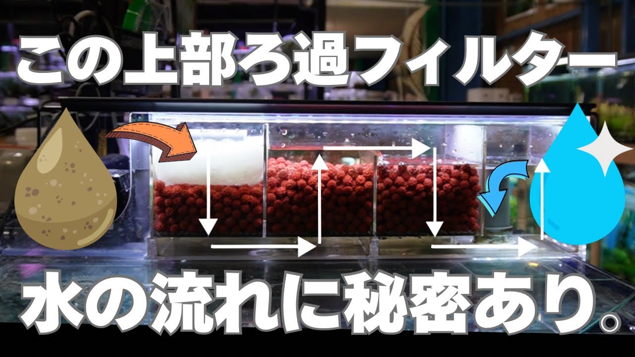 【完全解説】ろ過効率を最大化する上部フィルターの構造とは？驚きの全通水の秘密大公開！アクアリウム用上部濾過フィルターのご紹介。