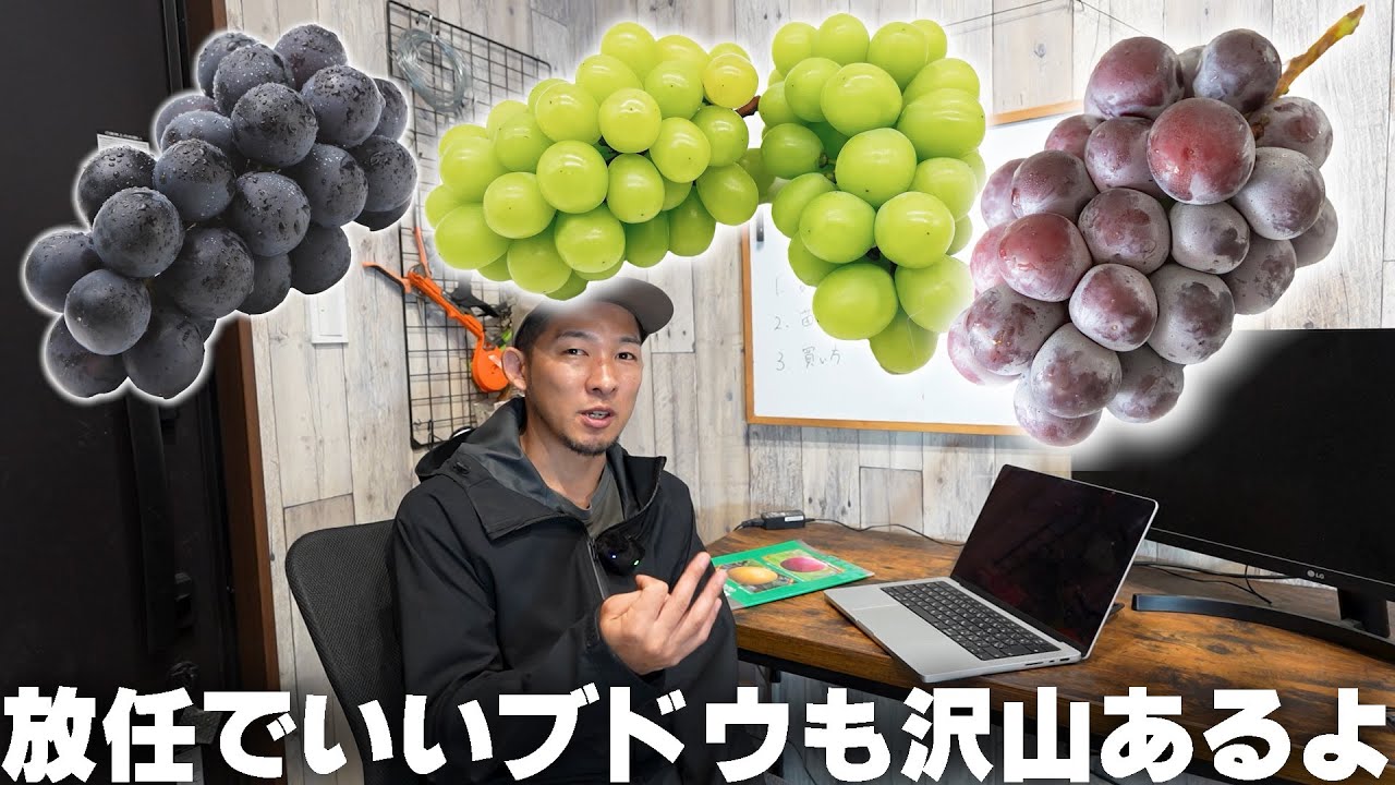 庭やベランダにブドウを植える前に!【雑談】