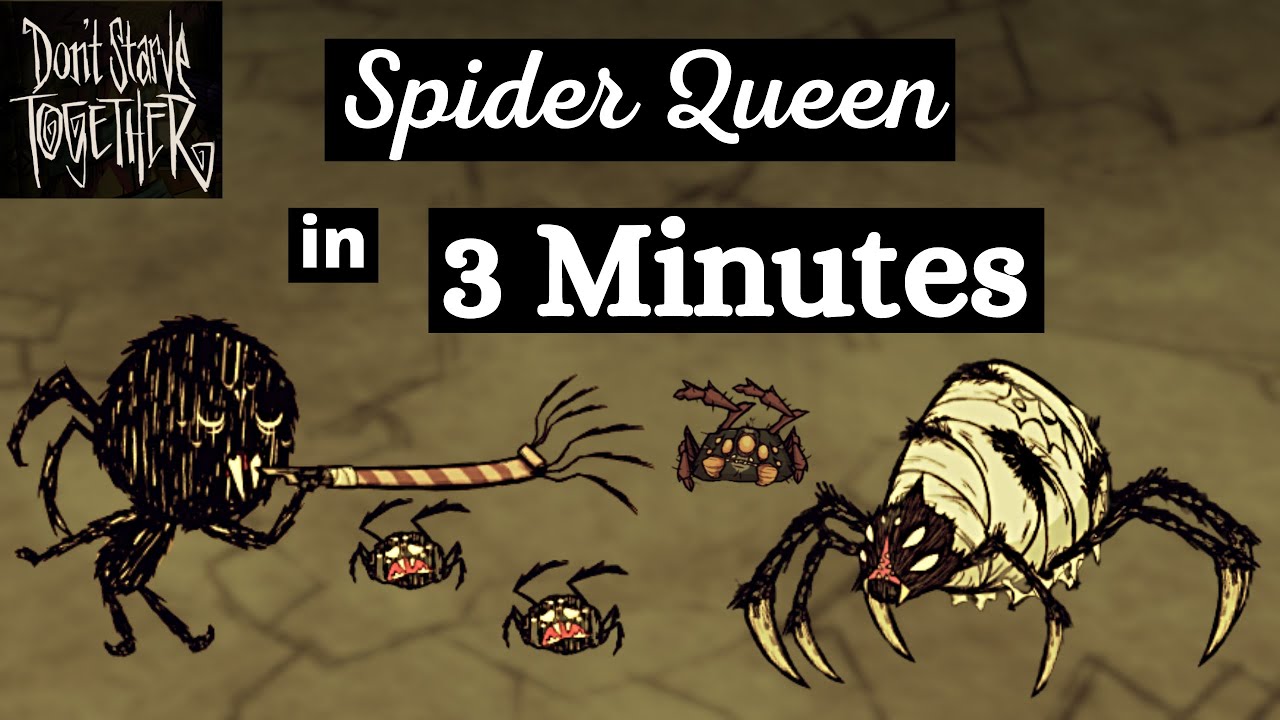 DST Spider Queen Speedrun 2:48.383 min (seeded) [WR]