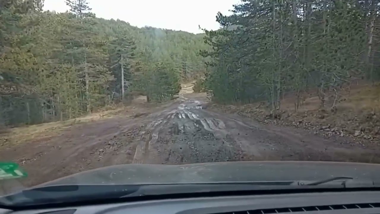 Suzuki S-Cross, Off-Road #98 - Muddy Forest Road
