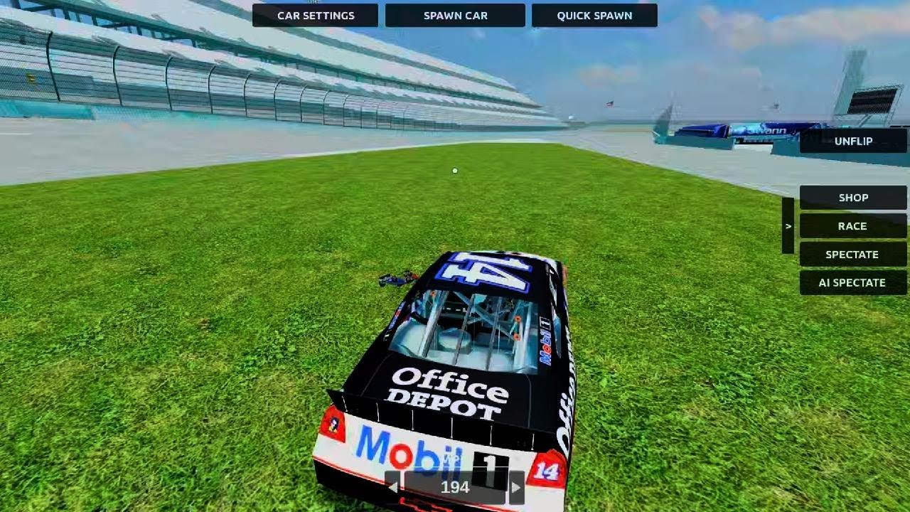 Crazy nascar