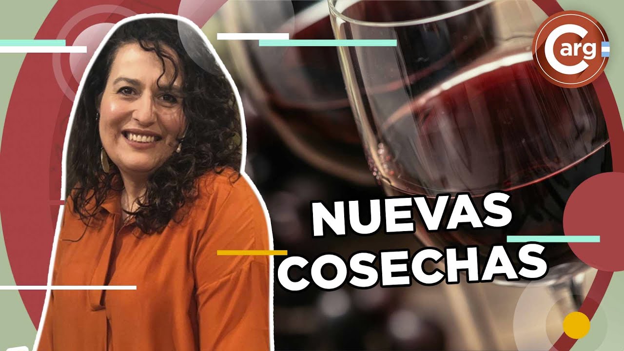QUÉ VINO TOMO - CONOCÉ LOS NUEVOS TALENTOS