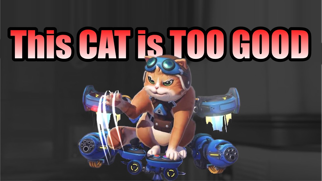 Jetpack Cat DESTROYS Overwatch