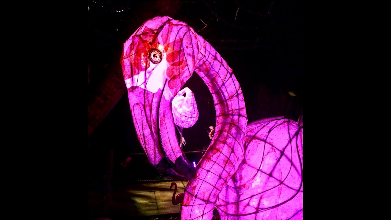 Chester Zoo Lanterns 2019