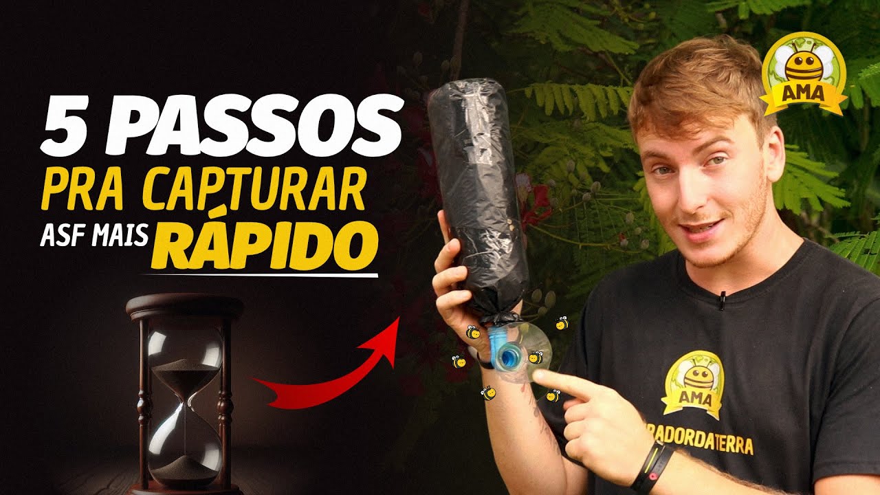 5 PASSOS SIMPLES para CAPTURAR ASF MAIS RÁPIDO!!