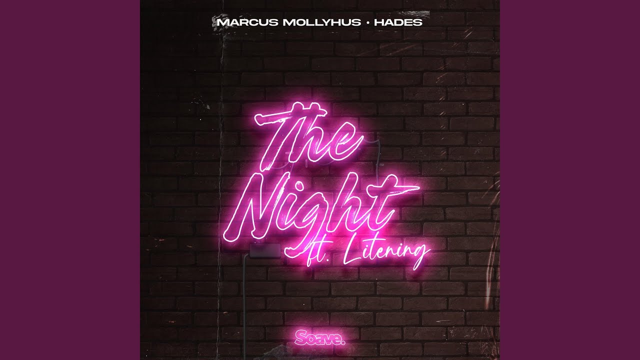 The Night (feat. Litening)