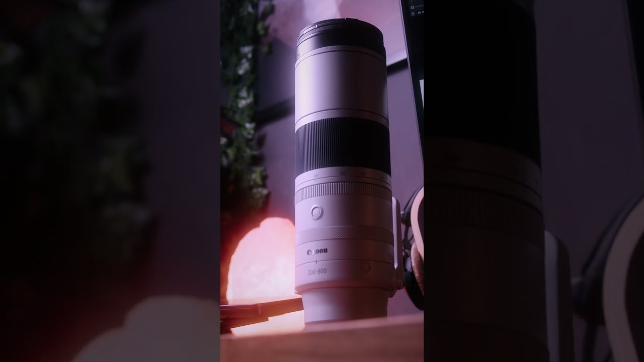 Canon RF 200 - 800mm Photography