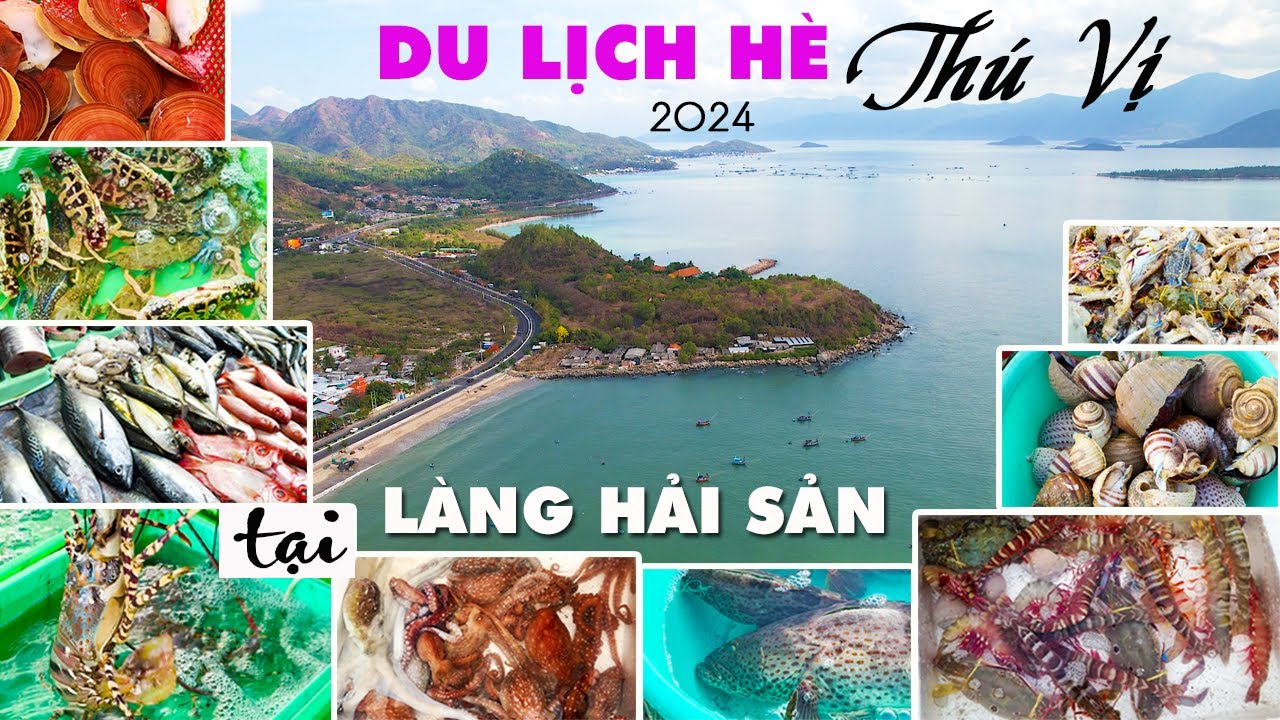Mê Mẩn Hải Sản Bơi Lội, Phong Phú, Bình Dân Tại Cảng Cá Vĩnh Lương Thu Hút Du Khách Đến Nha Trang