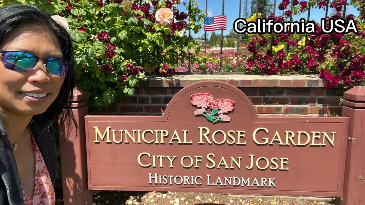 Walking around Municipal Rose Garden | San Jose California | Flowers | Garden | USA
