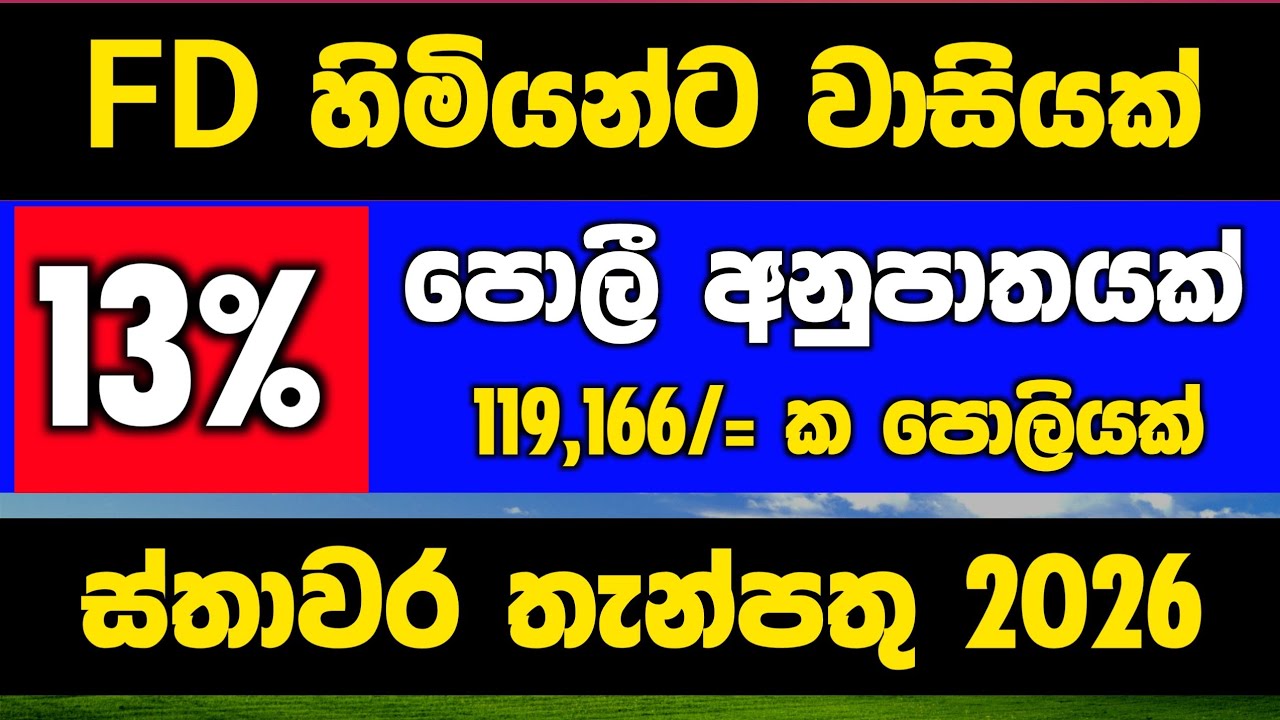 ස්තාවර තැන්පතුවට සුපිරිම පොලියක් | New Fixed Deposit Interest Rates 2026 : Cargills bank fd rate