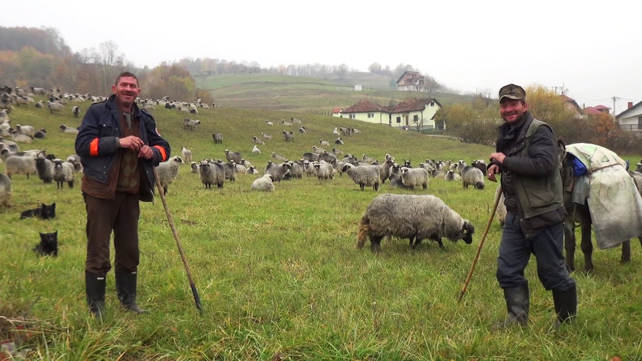 ''Mene nije stid ovo radit', najgore je stavit' ruku u tuđi džep!''