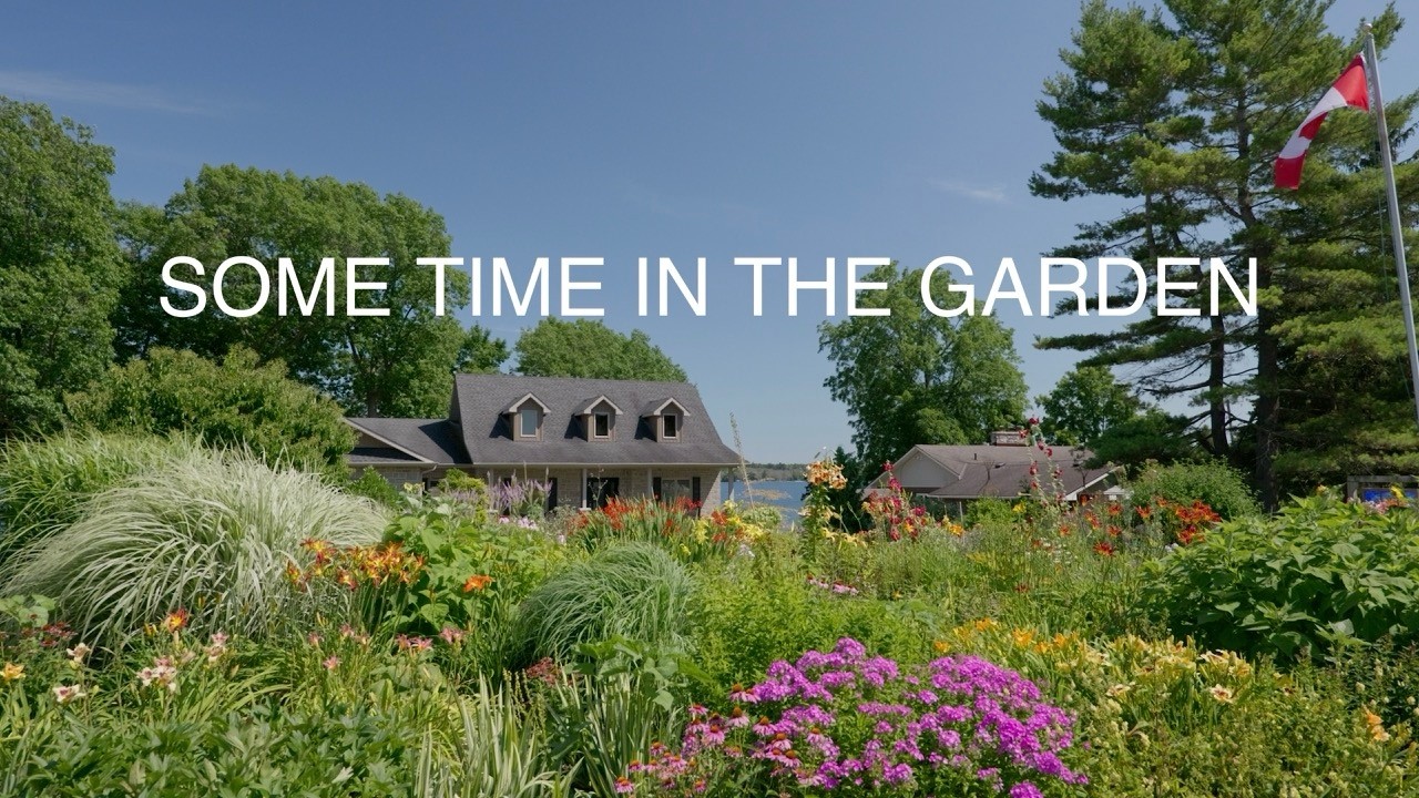 A Master Gardener’s Collection of 450+ Rare Daylilies & Native Pollinator Plants  #gardentour
