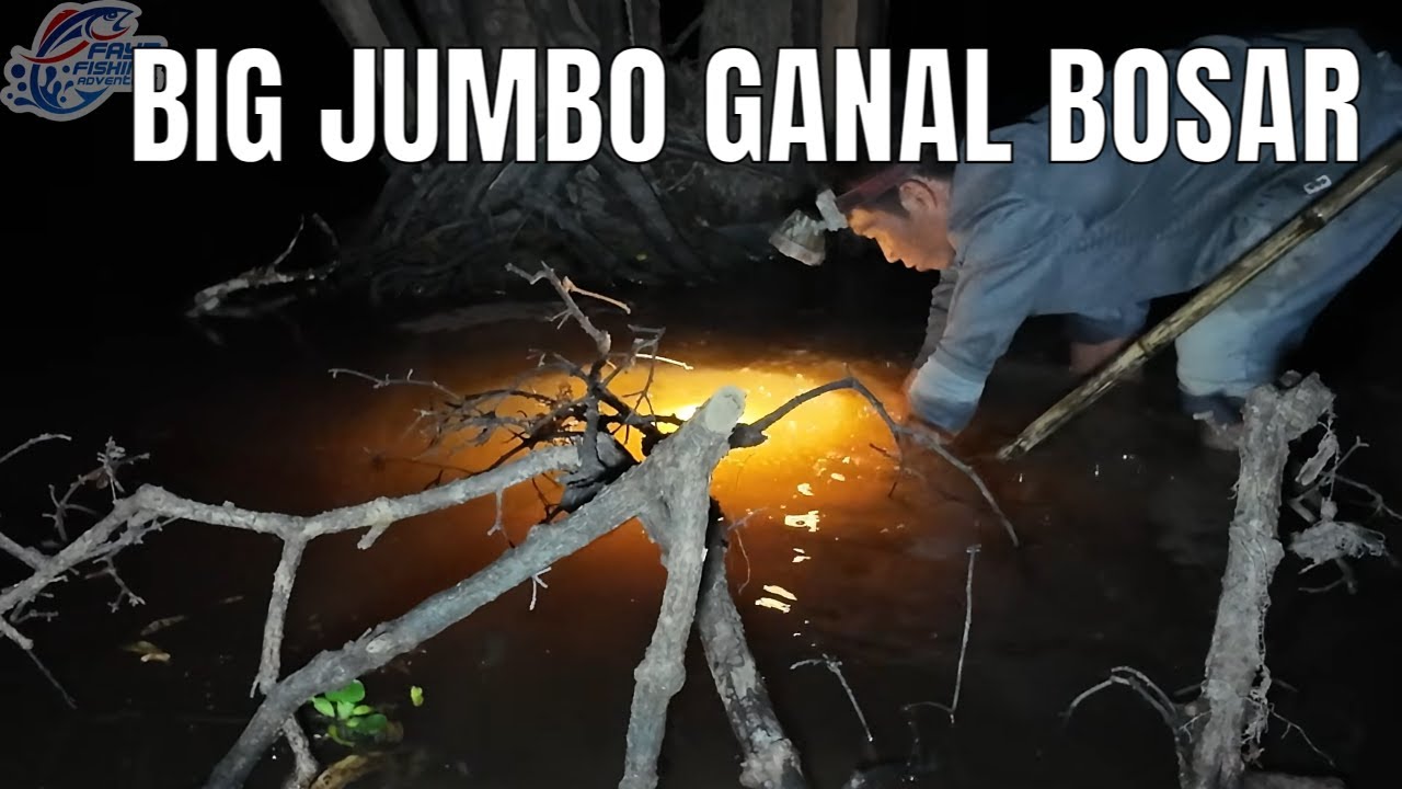 Spot Ini Aneh! Ikan Kecil Seolah Punah, Semua  ikannya Jumbo