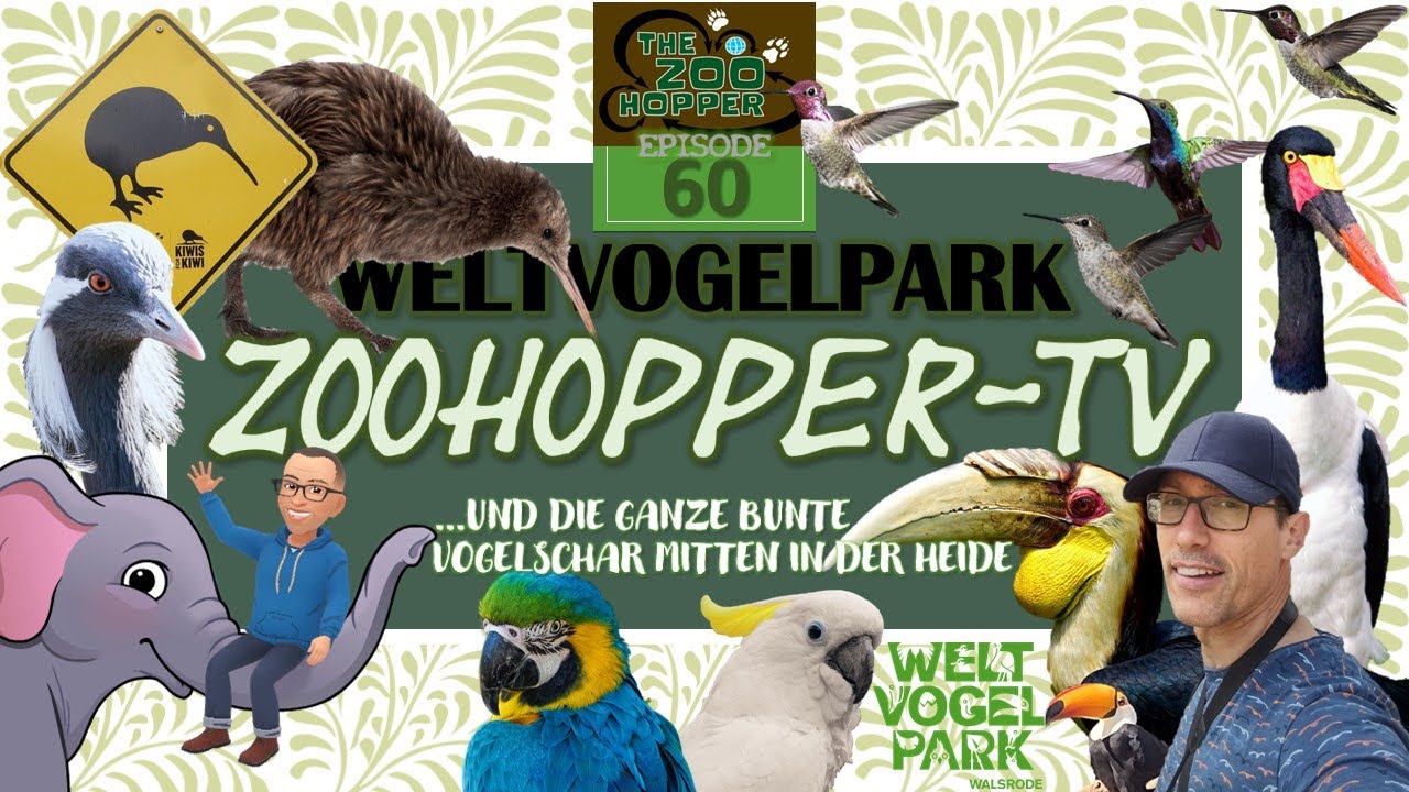 ...und die ganze bunte Vogelschar mitten in der Heide (Zoohopper-TV Episode 60)