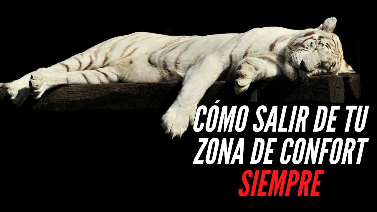 La Zona De Confort: Lo Que He Aprendido De Jim Newman (Mentor de Dan Peña)