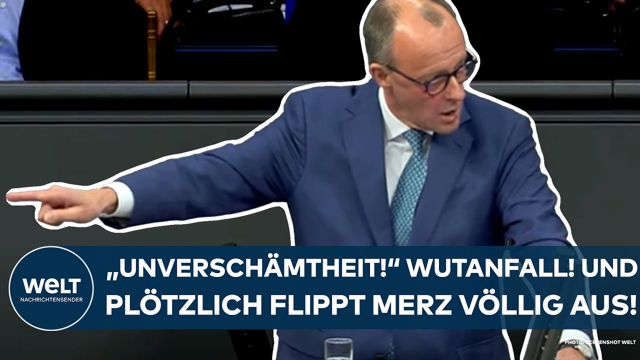 FRIEDRICH MERZ: AfD? 