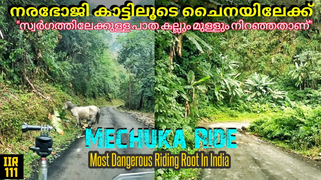EP 113 Riding To China Border Town Mechuka ജീവൻ പണയം വെച്ച് സ്വർഗത്തിലേക്ക് ഒരു ബൈക്കുയാത്ര #Mechuka