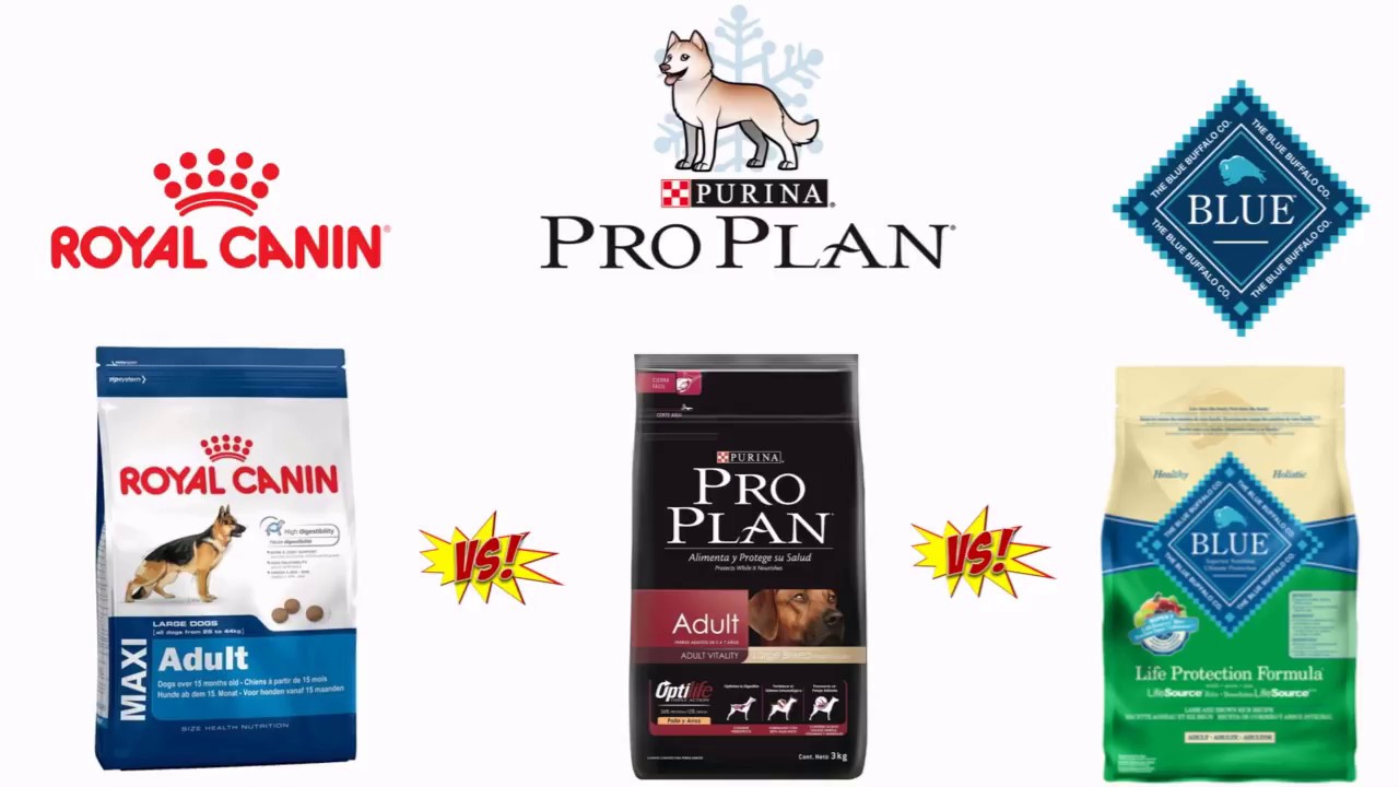 Comparación Royal Canin Vs ProPlan Vs  Blue Buffalo