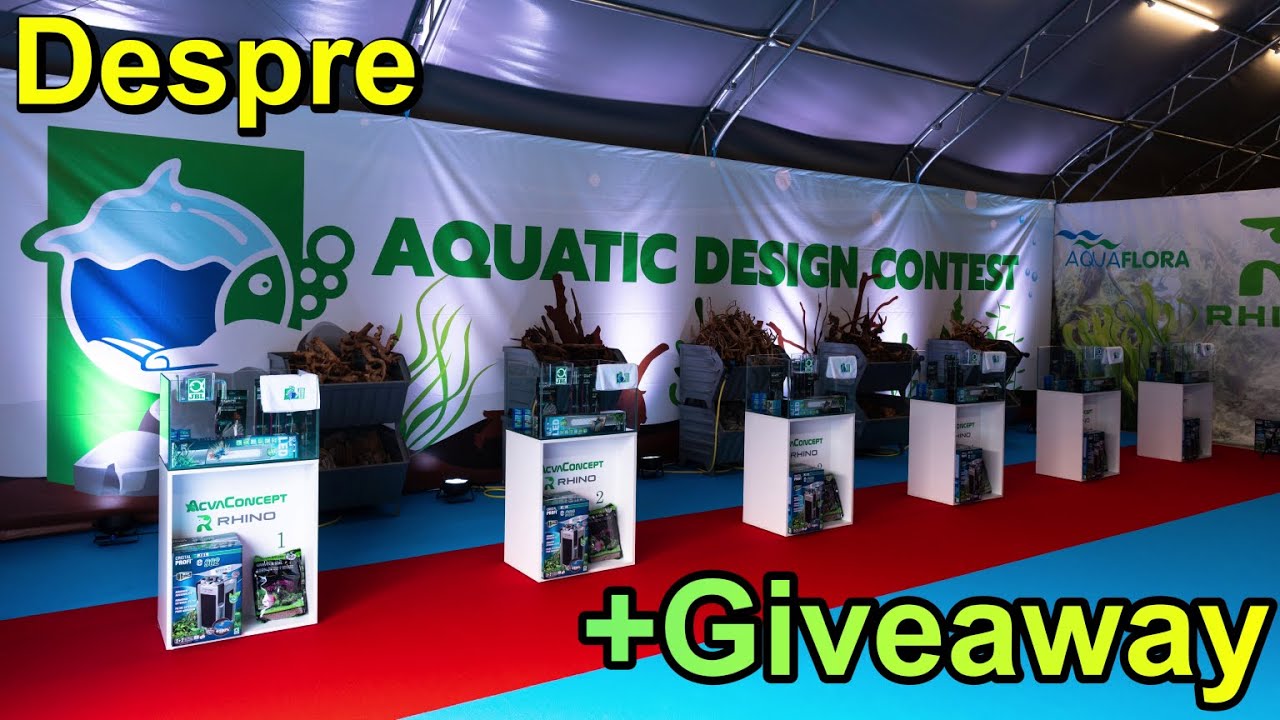 ADC, concurs LIVE de aquascaping, defapt o experiență de vis cu familia