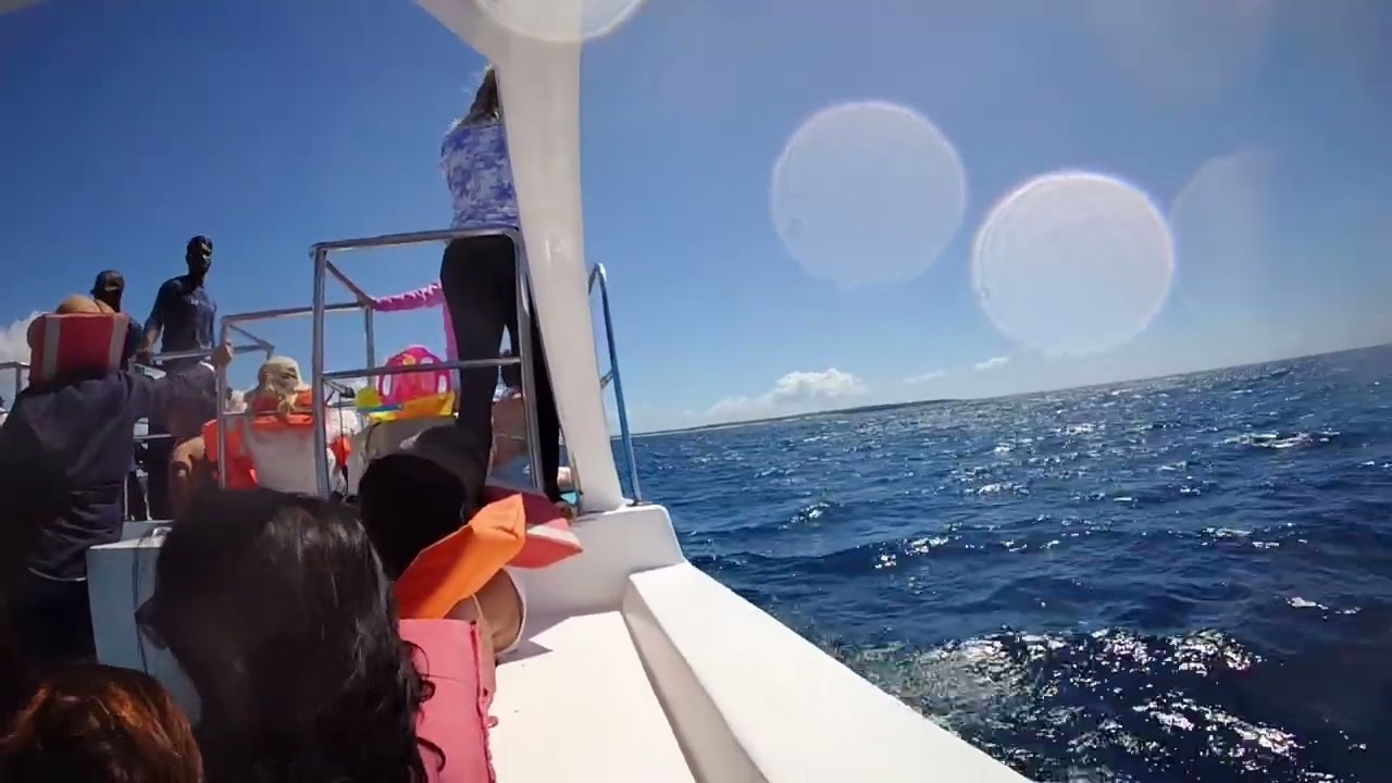 Yendo a Isla Catalina 