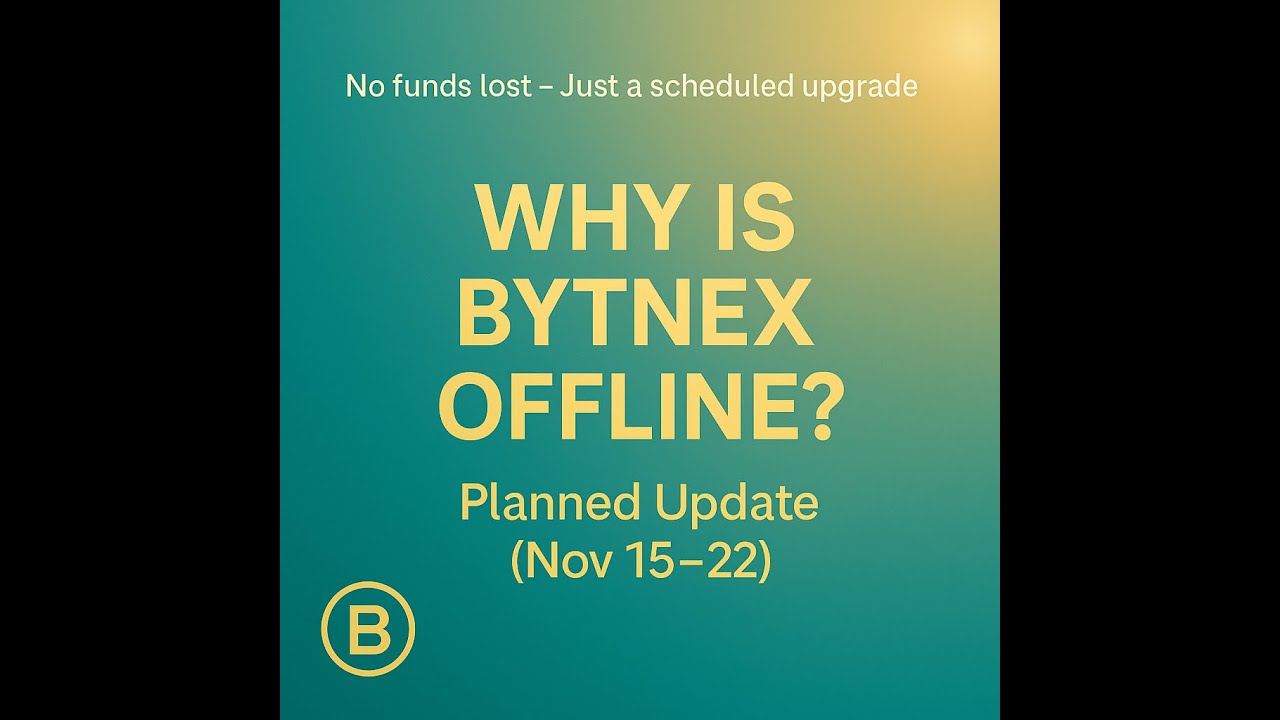 Why Is BYTNEX Offline? Full Update Explained (Nov15- 22)