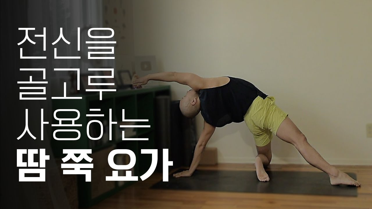 전신을 골고루 사용하는 땀 쭉 요가 | 35분 요가 | 요가소년 356