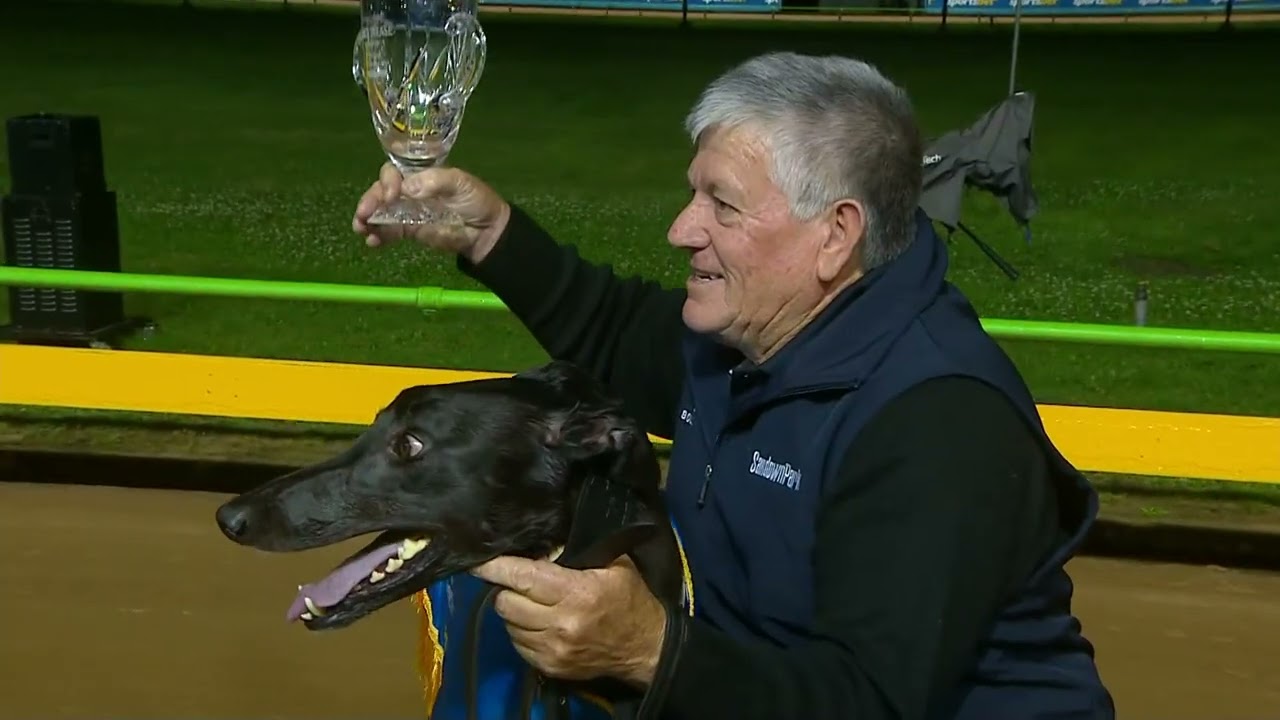 The Bold Trease Final at Sandown Park is only a few nights away