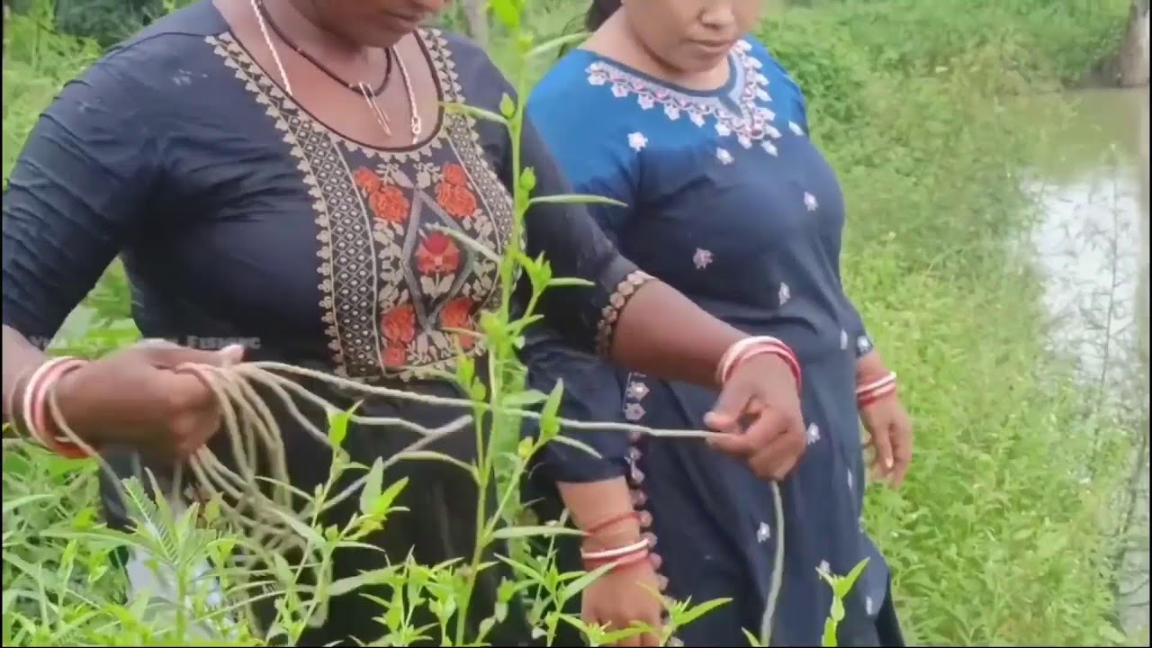 Mouni Hanshda Shorts Live Stream