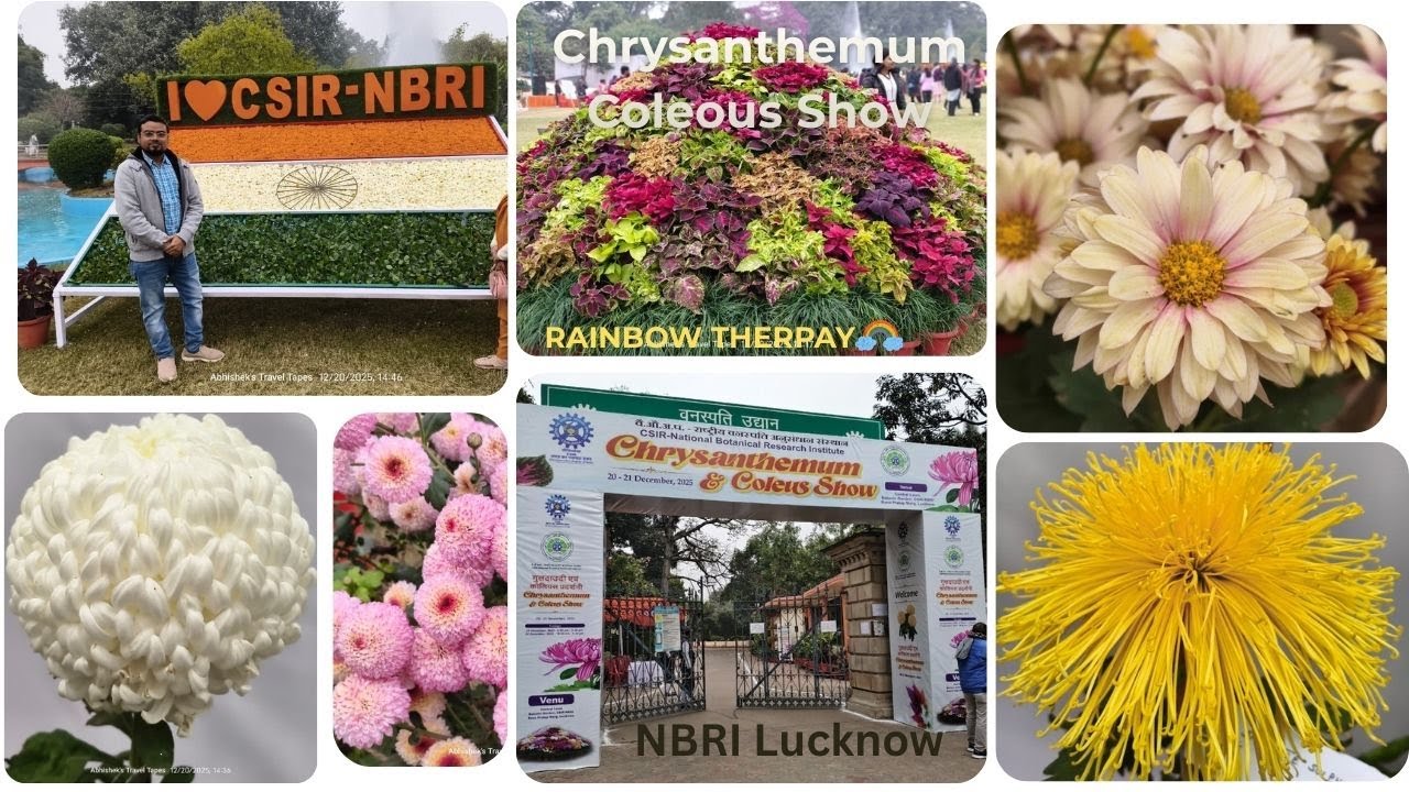 Guldaudi & Coleus Flower Exhibition at NBRI LKO| Chrysanthemum & Coleus Show | December 2025