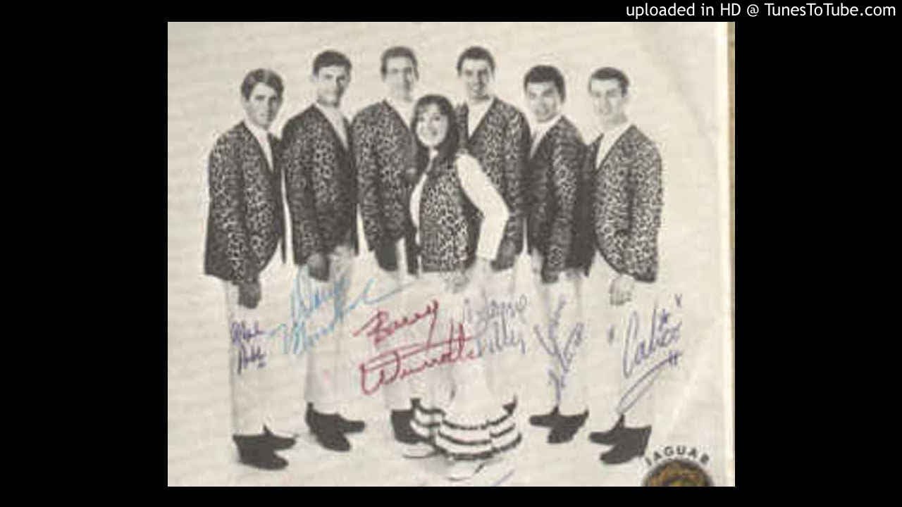 '' the jaguars '' - you'll turn away - 1966.