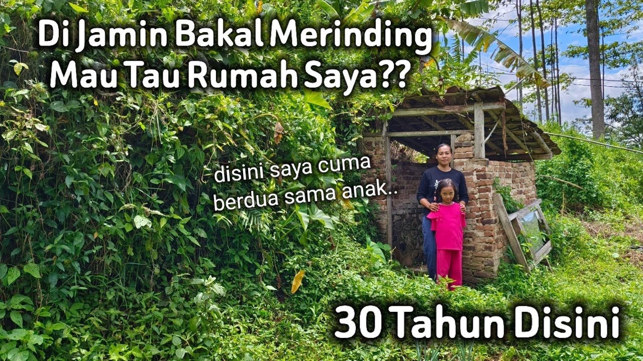TAK MASUK AKAL!! DIKIRA RUMAH BIASA GAK NYANGKA ADA RUMAH UNIK DAN ANEH DALAM HUTAN