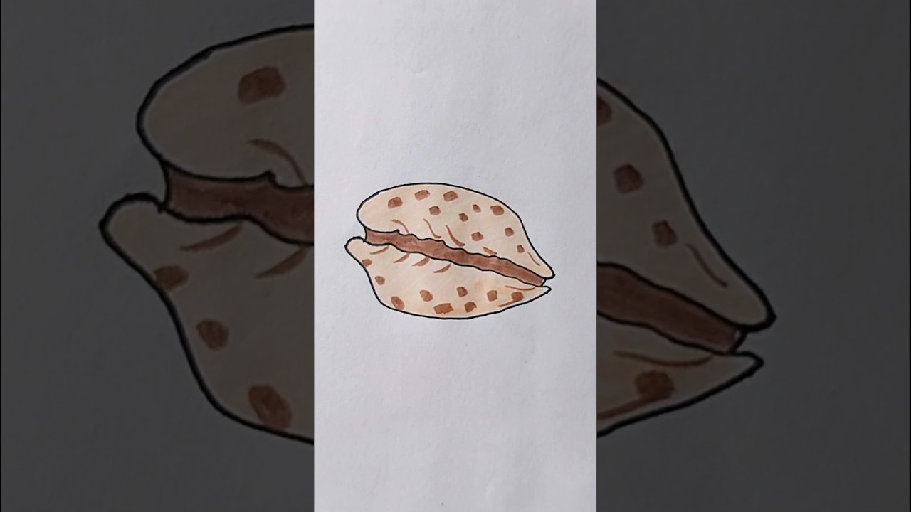 Cowrie Shell Easy Drawing For Kids #cowrieshell #kidstvforfun #trending #shorts #sea #viralshorts
