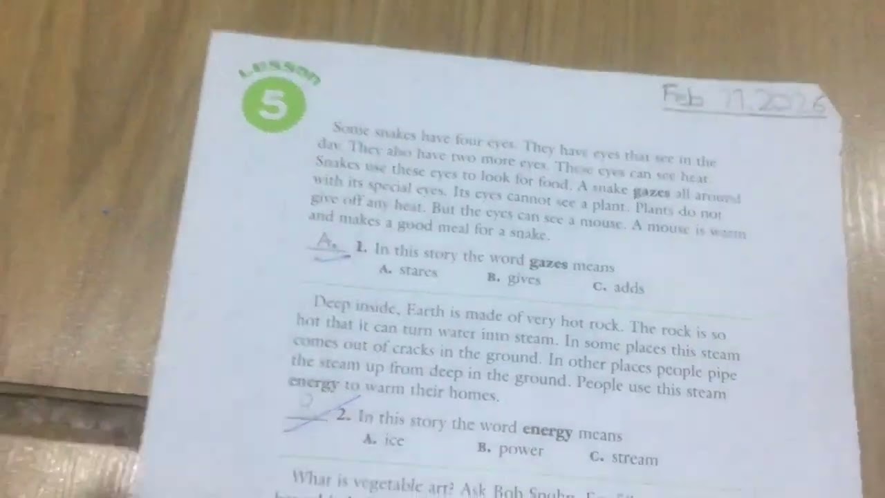 Lesson 5 a Stories