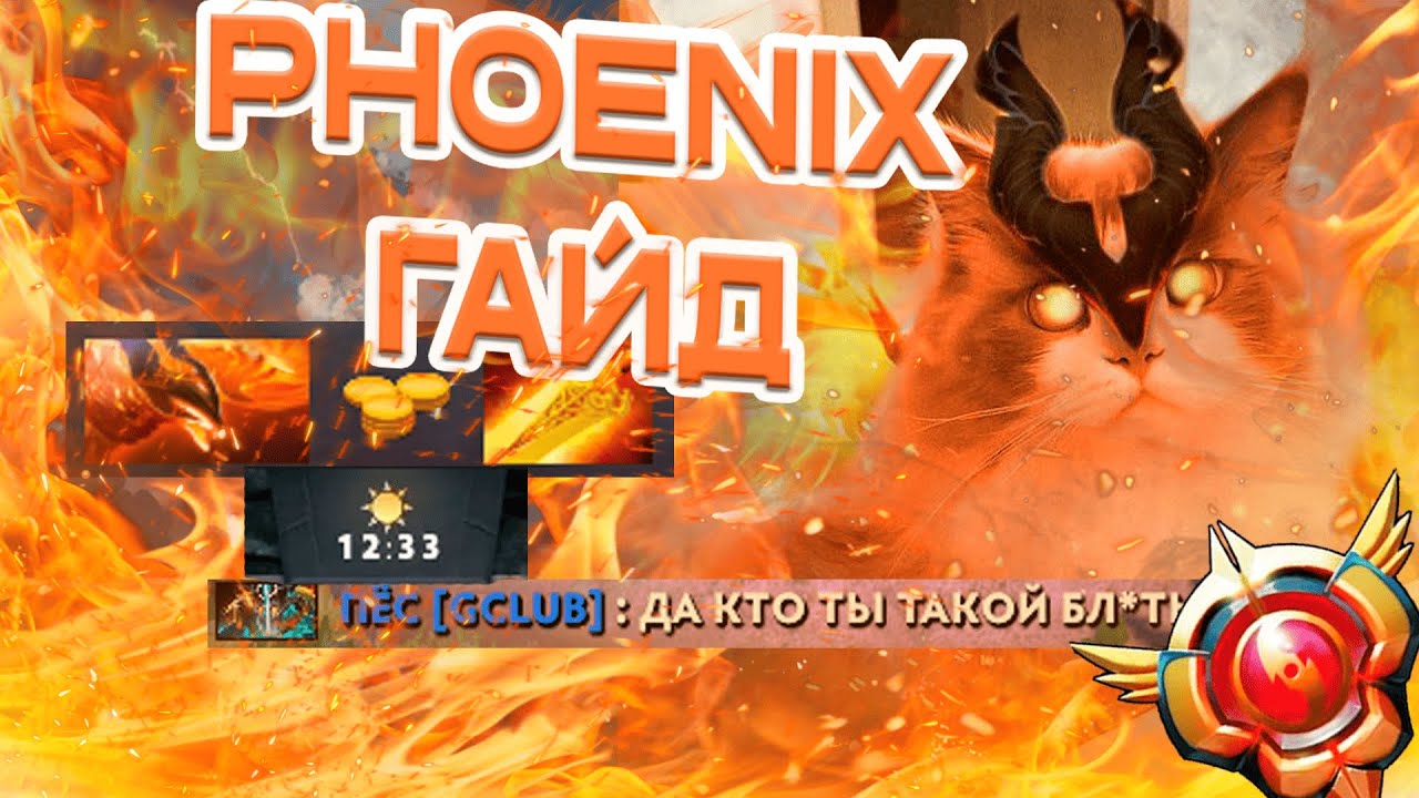 The Fastest Phoenix Guide