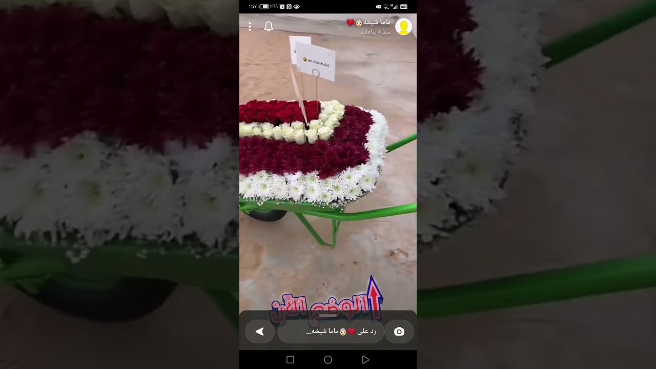 رحلة عائلة الغماس للقصيم اليوم الرابع